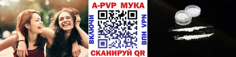darknet как зайти  Кстово  Alfa_PVP СК КРИС 