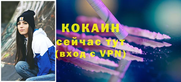 метадон Няндома
