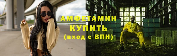 шишки Нязепетровск