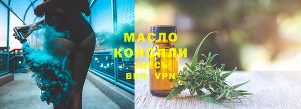 шишки Нязепетровск