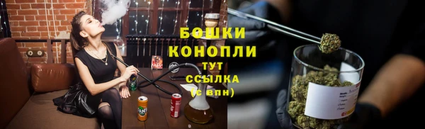 шишки Нязепетровск