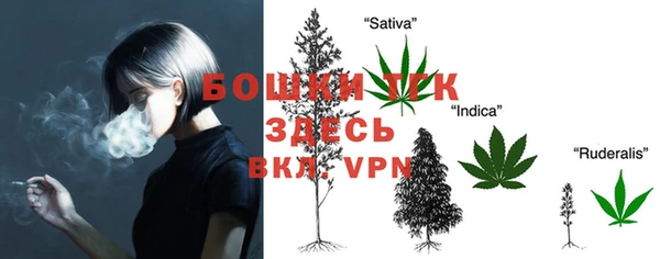 шишки Нязепетровск