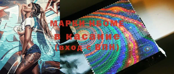 шишки Нязепетровск
