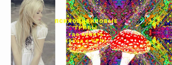 шишки Нязепетровск