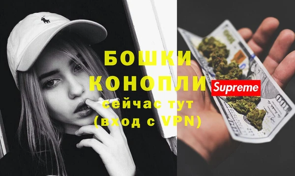 метадон Няндома