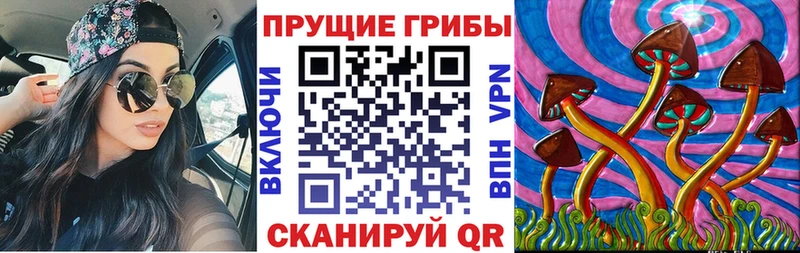 купить наркотик  Кстово  Галлюциногенные грибы MAGIC MUSHROOMS 
