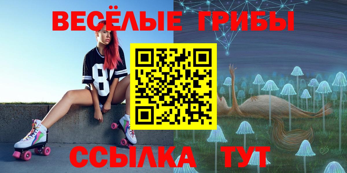 Галлюциногенные грибы Psilocybe Кстово