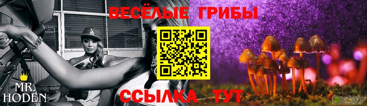 Псилоцибиновые грибы MAGIC MUSHROOMS  Вход с VPN  Кстово 